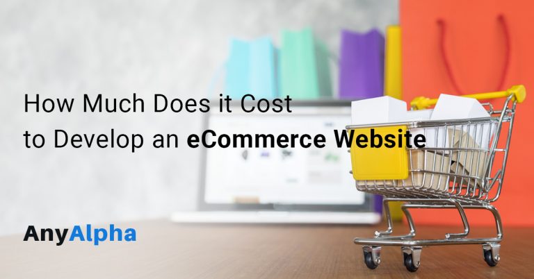 How Much Does It Cost To Develop An Ecommerce Website Anyalpha